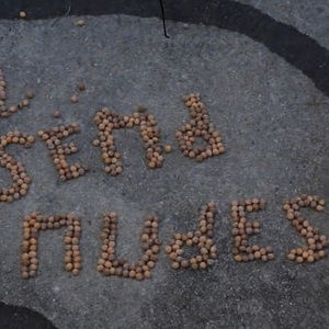 Meet your Posher, Nolan